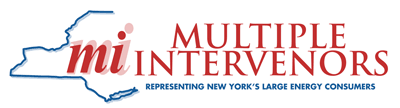 Multiple Interveners logo